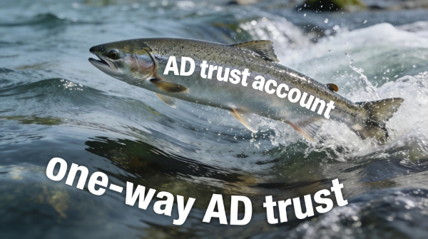 A salmon that represents the trusted domain object is swimming upstream, the river represents the one-way trust